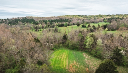Hunting Paradise In Southern Missouri - image 16