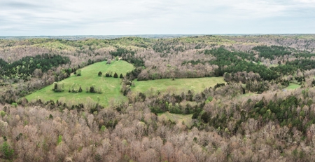Hunting Paradise In Southern Missouri - image 19