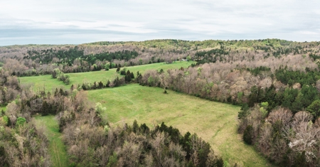 Hunting Paradise In Southern Missouri - image 15