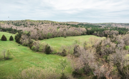 Hunting Paradise In Southern Missouri - image 12