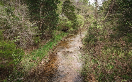 Hunting Paradise In Southern Missouri - image 23
