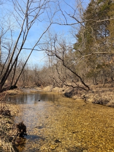 Hunting Paradise In Southern Missouri - image 4