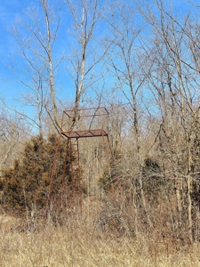 Hunting Paradise In Southern Missouri - image 3
