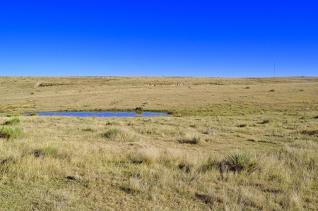 8,057 Acre Kansas Cattle and Farmland Ranch For Sale - image 46