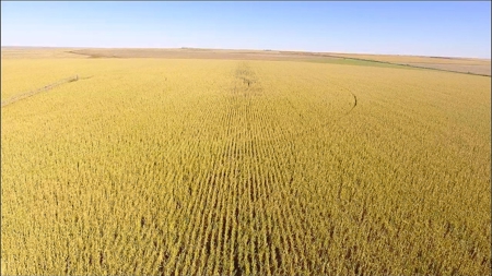 8,057 Acre Kansas Cattle and Farmland Ranch For Sale - image 13