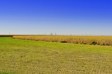 8,057 Acre Kansas Cattle and Farmland Ranch For Sale - image 6