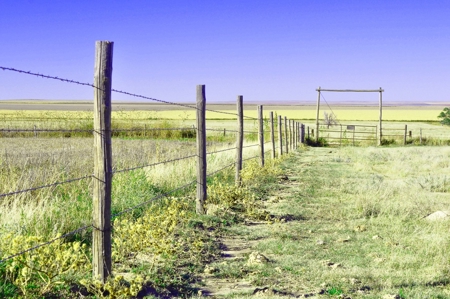 8,057 Acre Kansas Cattle and Farmland Ranch For Sale - image 47