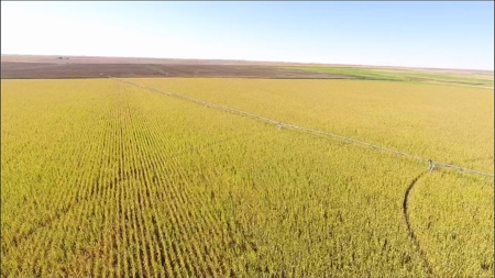 8,057 Acre Kansas Cattle and Farmland Ranch For Sale - image 5