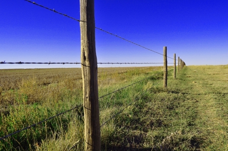 8,057 Acre Kansas Cattle and Farmland Ranch For Sale - image 3