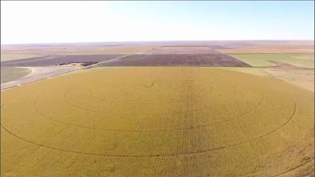 8,057 Acre Kansas Cattle and Farmland Ranch For Sale - image 11