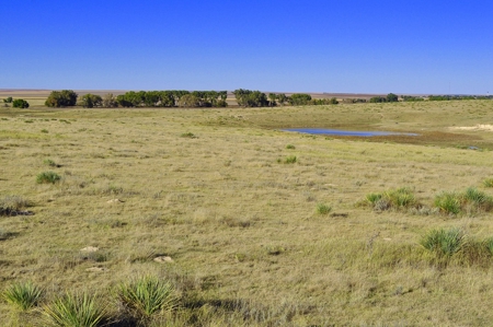 8,057 Acre Kansas Cattle and Farmland Ranch For Sale - image 43