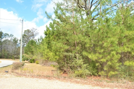 1.45 Acres Small Acreage in North Pike School District SW MS - image 6