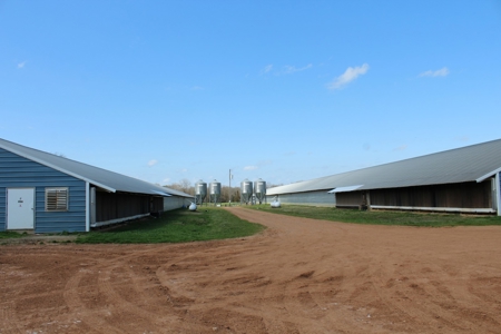 Poultry Farm  - Como, Texas - Wood County Tx - East Tx Farm - image 10