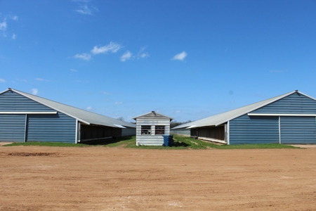 Poultry Farm  - Como, Texas - Wood County Tx - East Tx Farm - image 6