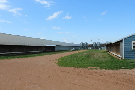 Poultry Farm  - Como, Texas - Wood County Tx - East Tx Farm - image 5