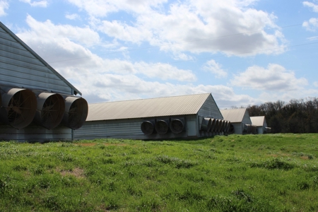 Poultry Farm  - Como, Texas - Wood County Tx - East Tx Farm - image 16