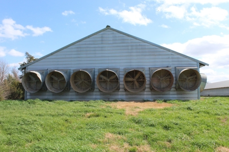 Poultry Farm  - Como, Texas - Wood County Tx - East Tx Farm - image 21