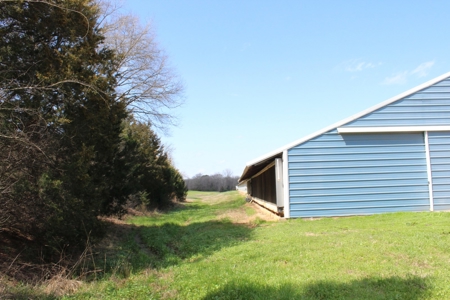 Poultry Farm  - Como, Texas - Wood County Tx - East Tx Farm - image 11