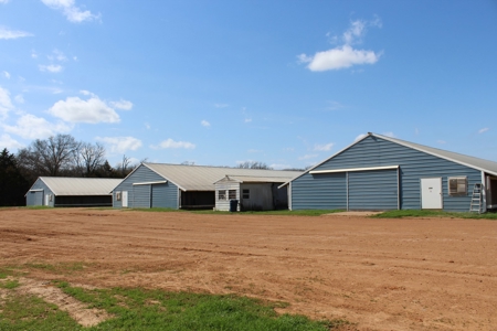 Poultry Farm  - Como, Texas - Wood County Tx - East Tx Farm - image 14