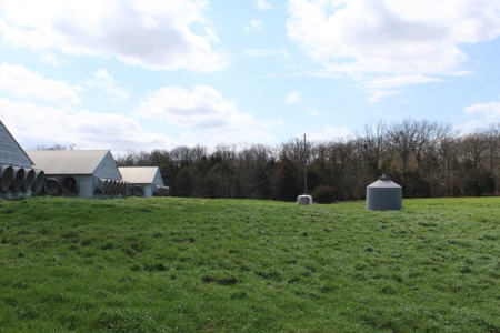Poultry Farm  - Como, Texas - Wood County Tx - East Tx Farm - image 17