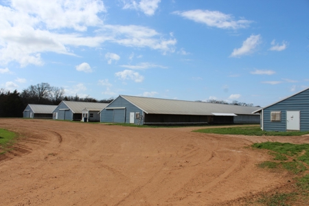 Poultry Farm  - Como, Texas - Wood County Tx - East Tx Farm - image 4