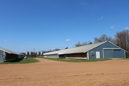 Poultry Farm  - Como, Texas - Wood County Tx - East Tx Farm - image 15