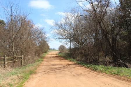 Poultry Farm  - Como, Texas - Wood County Tx - East Tx Farm - image 3