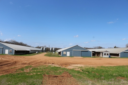 Poultry Farm  - Como, Texas - Wood County Tx - East Tx Farm - image 13