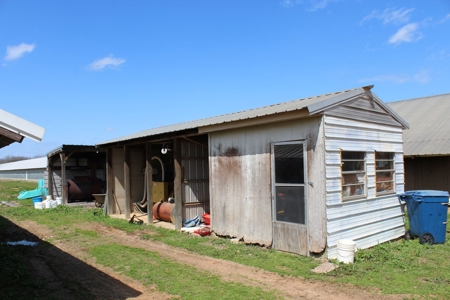 Poultry Farm  - Como, Texas - Wood County Tx - East Tx Farm - image 9