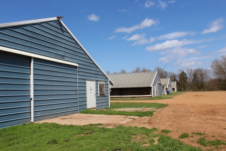 Poultry Farm  - Como, Texas - Wood County Tx - East Tx Farm - image 12