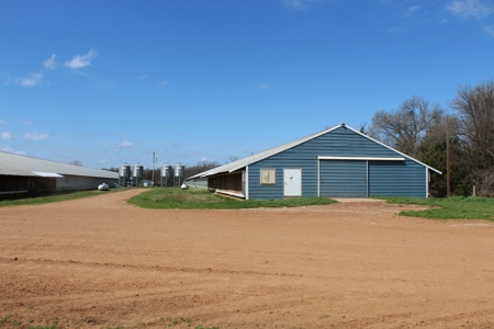 Poultry Farm  - Como, Texas - Wood County Tx - East Tx Farm - image 2