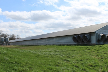 Poultry Farm  - Como, Texas - Wood County Tx - East Tx Farm - image 20