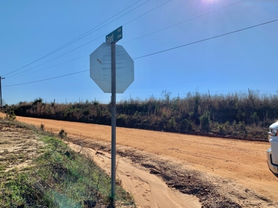 Land Auction South of Slocomb Alabama - Fadette AL - image 28