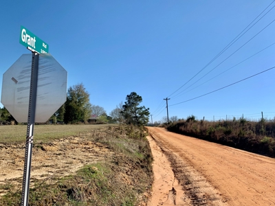 Land Auction South of Slocomb Alabama - Fadette AL - image 29