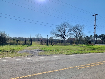 Land Auction South of Slocomb Alabama - Fadette AL - image 27