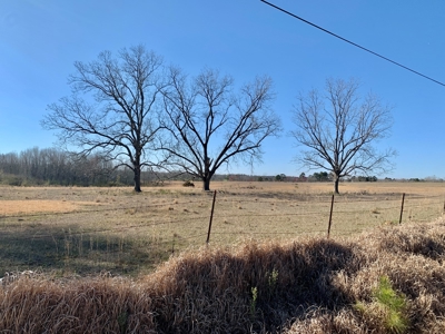 Land Auction South of Slocomb Alabama - Fadette AL - image 39