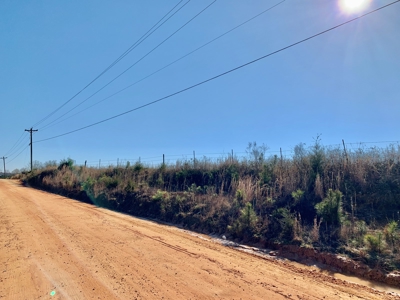 Land Auction South of Slocomb Alabama - Fadette AL - image 30