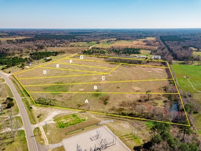 Land Auction South of Slocomb Alabama - Fadette AL - image 14
