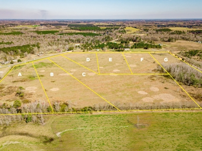 Land Auction South of Slocomb Alabama - Fadette AL - image 8