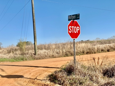 Land Auction South of Slocomb Alabama - Fadette AL - image 35