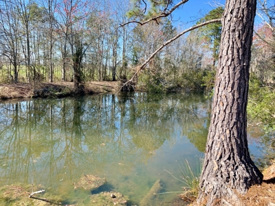 Land Auction South of Slocomb Alabama - Fadette AL - image 20