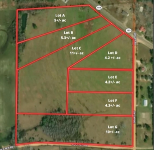 Land Auction South of Slocomb Alabama - Fadette AL - image 2