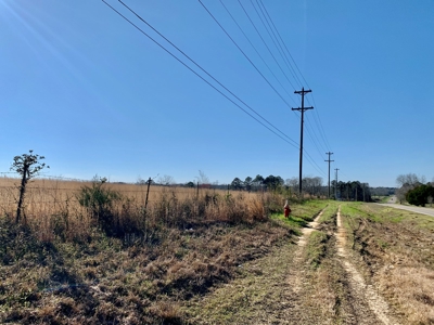 Land Auction South of Slocomb Alabama - Fadette AL - image 31