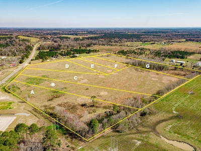 Land Auction South of Slocomb Alabama - Fadette AL - image 9