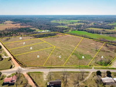 Land Auction South of Slocomb Alabama - Fadette AL - image 1