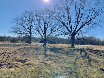 Land Auction South of Slocomb Alabama - Fadette AL - image 40
