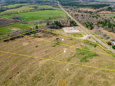Land Auction South of Slocomb Alabama - Fadette AL - image 11