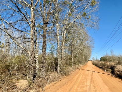 Land Auction South of Slocomb Alabama - Fadette AL - image 37