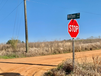 Land Auction South of Slocomb Alabama - Fadette AL - image 34