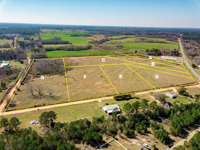 Land Auction South of Slocomb Alabama - Fadette AL - image 12